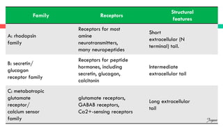Family Receptors
Structural
features
A: rhodopsin
family
Receptors for most
amine
neurotransmitters,
many neuropeptides
Short
extracellular (N
terminal) tail.
B: secretin/
glucagon
receptor family
Receptors for peptide
hormones, including
secretin, glucagon,
calcitonin
Intermediate
extracellular tail
C: metabotropic
glutamate
receptor/
calcium sensor
family
glutamate receptors,
GABAB receptors,
Ca2+-sensing receptors
Long extracellular
tail
Jegan
 