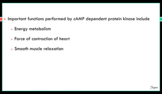  Important functions performed by cAMP dependent protein kinase include
 Energy metabolism
 Force of contraction of heart
 Smooth muscle relaxation
Jegan
 