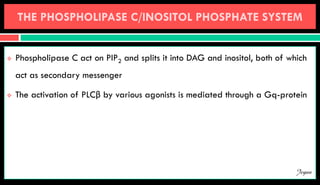 THE PHOSPHOLIPASE C/INOSITOL PHOSPHATE SYSTEM
 Phospholipase C act on PIP2 and splits it into DAG and inositol, both of which
act as secondary messenger
 The activation of PLCβ by various agonists is mediated through a Gq-protein
Jegan
 
