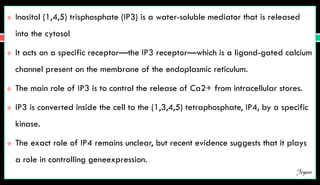  Inositol (1,4,5) trisphosphate (IP3) is a water-soluble mediator that is released
into the cytosol
 It acts on a specific receptor—the IP3 receptor—which is a ligand-gated calcium
channel present on the membrane of the endoplasmic reticulum.
 The main role of IP3 is to control the release of Ca2+ from intracellular stores.
 IP3 is converted inside the cell to the (1,3,4,5) tetraphosphate, IP4, by a specific
kinase.
 The exact role of IP4 remains unclear, but recent evidence suggests that it plays
a role in controlling geneexpression.
Jegan
 
