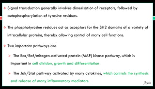  Signal transduction generally involves dimerisation of receptors, followed by
autophosphorylation of tyrosine residues.
 The phosphotyrosine residues act as acceptors for the SH2 domains of a variety of
intracellular proteins, thereby allowing control of many cell functions.
 Two important pathways are:
 The Ras/Raf/mitogen-activated protein (MAP) kinase pathway, which is
important in cell division, growth and differentiation
 The Jak/Stat pathway activated by many cytokines, which controls the synthesis
and release of many inflammatory mediators. Jegan
 