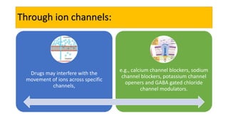 Through ion channels:
Drugs may interfere with the
movement of ions across specific
channels,
e.g., calcium channel blockers, sodium
channel blockers, potassium channel
openers and GABA gated chloride
channel modulators.
 