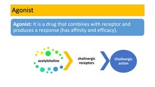 Agonist
Agonist: It is a drug that combines with receptor and
produces a response (has affinity and efficacy).
acetylcholine
cholinergic
receptors
Cholinergic
action
 