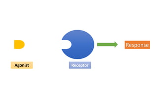 Agonist Receptor
Response
 