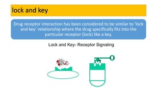 lock and key
Drug receptor interaction has been considered to be similar to ‘lock
and key’ relationship where the drug specifically fits into the
particular receptor (lock) like a key.
 
