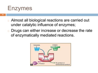 Enzymes
11
Almost all biological reactions are carried out
under catalytic influence of enzymes;
Drugs can either increase or decrease the rate
of enzymatically mediated reactions.
 