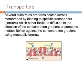 Transporters
16
Several substrates are translocated across
membranes by binding to specific transporters
(carriers) which either facilitate diffusion in the
direction of the concentration gradient or pump the
metabolite/ion against the concentration gradient
using metabolic energy.
 