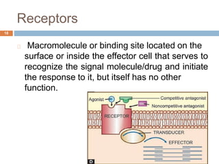 function.
Receptors
18
Macromolecule or binding site located on the
surface or inside the effector cell that serves to
recognize the signal molecule/drug and initiate
the response to it, but itself has no other
 