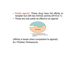 • Partial agonist :These drug have full affinity to
receptor but with low intrinsic activity (IA=0 to 1).
• These are only partly as effective as agonist
(Affinity is lesser when comparison to agonist)
Ex: Pindolol, Pentazocine
 