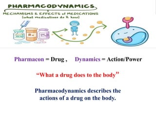 Pharmacodynamics.pptx