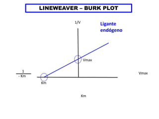 LINEWEAVER – BURK PLOT
1/V
1
- Km
Km
Vmax
Vmax
Km
Ligante
endógeno
 