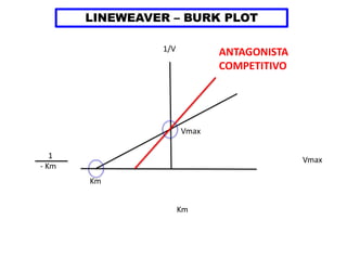 LINEWEAVER – BURK PLOT
1/V
1
- Km
Km
Vmax
Vmax
Km
ANTAGONISTA
COMPETITIVO
 