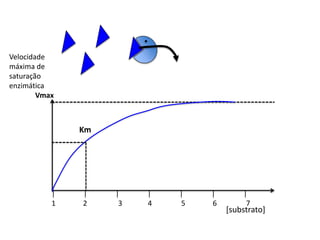Velocidade
máxima de
saturação
enzimática
Vmax
[substrato]
Km
| | | | | | |
1 2 3 4 5 6 7
 
