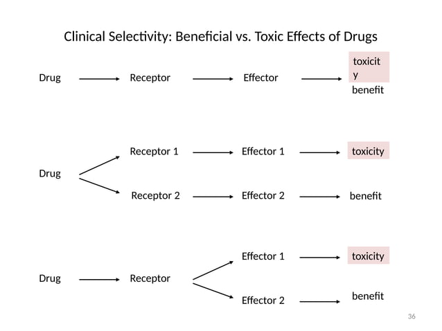 GENERAL PRINCIPLES OF PHARMACOLOGY PDF visual data 4