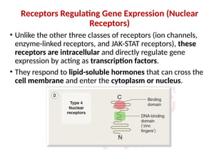 Pharmacodynamics and classification of receptors | PPTX