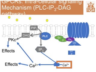 GPCRs: Intra-cellular signaling
Mechanism (PLC-IP3-DAG
pathway)
β Gqα
Gγ
PLC
GD
P
GT
P
IP3
Ca2+
PIP2
DAG
PKc
Effects
Effects
Ca2+
 