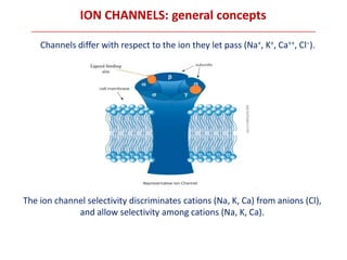 pharmacodynamics-receptors-2016-ion-channels.pdf