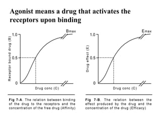 Agonist means a drug that activates the
receptors upon binding
 