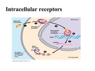 Intracellular receptors
 