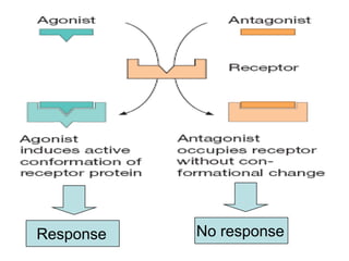 Response No response
 