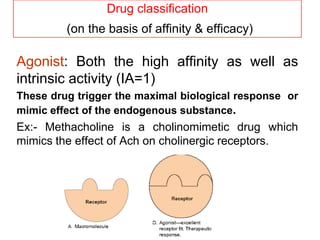 Drug classification
(on the basis of affinity & efficacy)
Agonist: Both the high affinity as well as
intrinsic activity (IA=1)
These drug trigger the maximal biological response or
mimic effect of the endogenous substance.
Ex:- Methacholine is a cholinomimetic drug which
mimics the effect of Ach on cholinergic receptors.
 