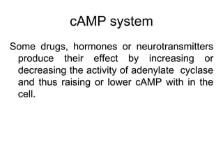 cAMP system
Some drugs, hormones or neurotransmitters
produce their effect by increasing or
decreasing the activity of adenylate cyclase
and thus raising or lower cAMP with in the
cell.
 