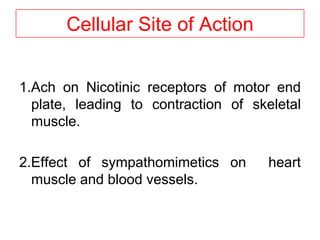 Cellular Site of Action
1.Ach on Nicotinic receptors of motor end
plate, leading to contraction of skeletal
muscle.
2.Effect of sympathomimetics on heart
muscle and blood vessels.
 