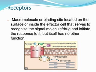 Receptors
 Macromolecule or binding site located on the
surface or inside the effector cell that serves to
recognize the signal molecule/drug and initiate
the response to it, but itself has no other
function.
18
 