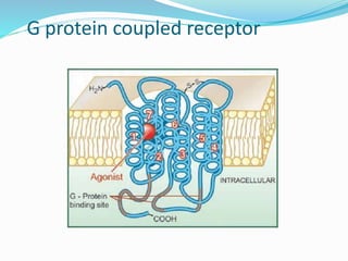 G protein coupled receptor
21
 