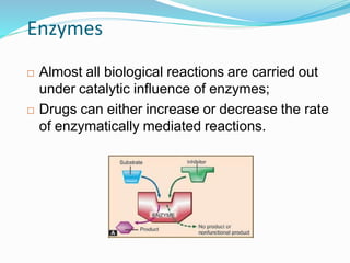 Enzymes
 Almost all biological reactions are carried out
under catalytic influence of enzymes;
 Drugs can either increase or decrease the rate
of enzymatically mediated reactions.
11
 