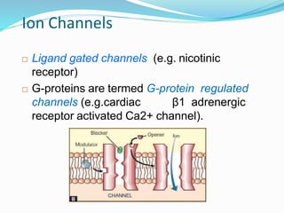 Ion Channels
 Ligand gated channels (e.g. nicotinic
receptor)
 G-proteins are termed G-protein regulated
channels (e.g.cardiac β1 adrenergic
receptor activated Ca2+ channel).
13
 