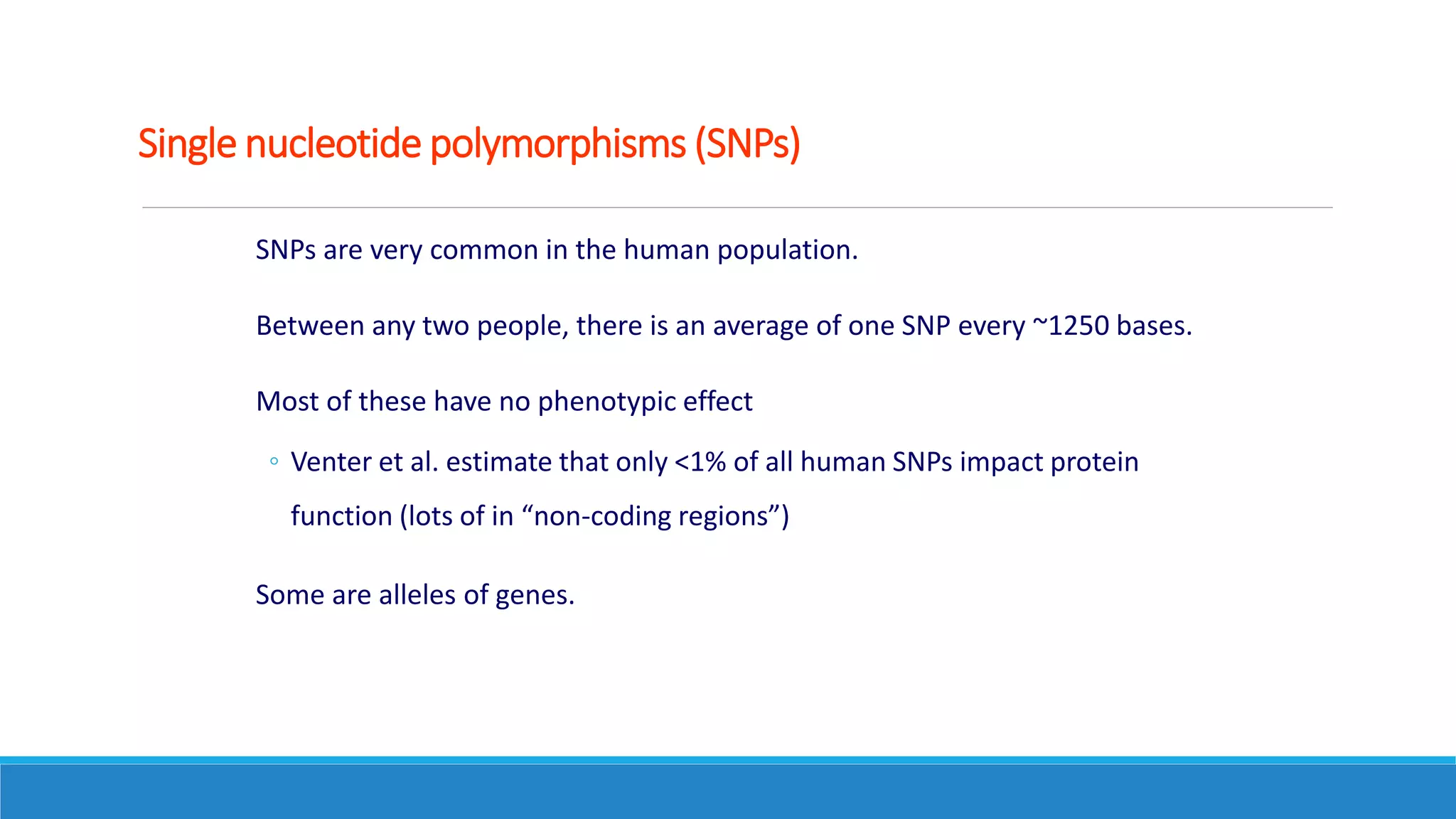 Single nucleotide polymorphisms (SNPs)
SNPs are very common in the human population.
Between any two people, there is an average of one SNP every ~1250 bases.
Most of these have no phenotypic effect
◦ Venter et al. estimate that only <1% of all human SNPs impact protein
function (lots of in “non-coding regions”)
Some are alleles of genes.
 