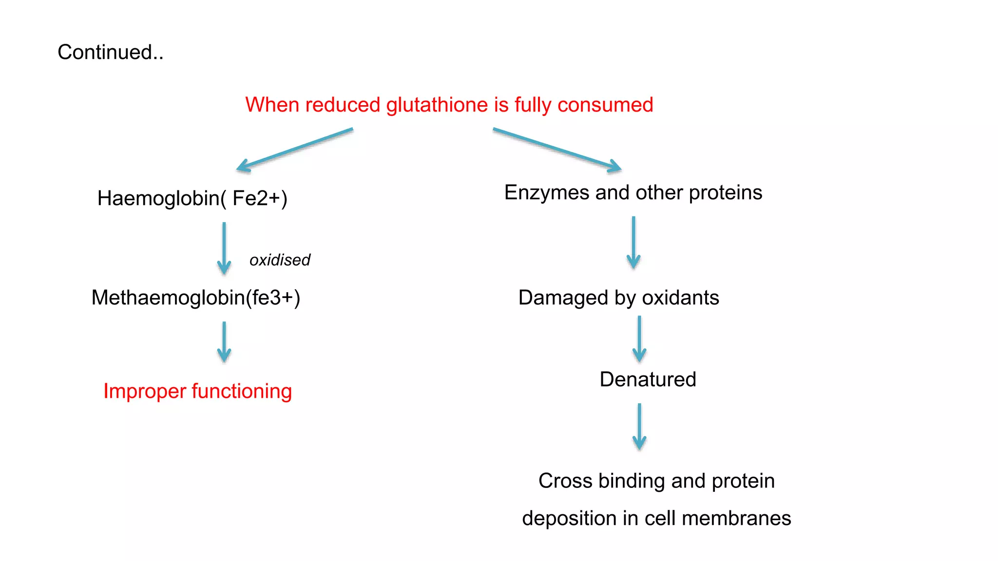 Continued..
When reduced glutathione is fully consumed
Haemoglobin( Fe2+)
Methaemoglobin(fe3+)
Improper functioning
Enzymes and other proteins
Damaged by oxidants
Denatured
Cross binding and protein
deposition in cell membranes
oxidised
 