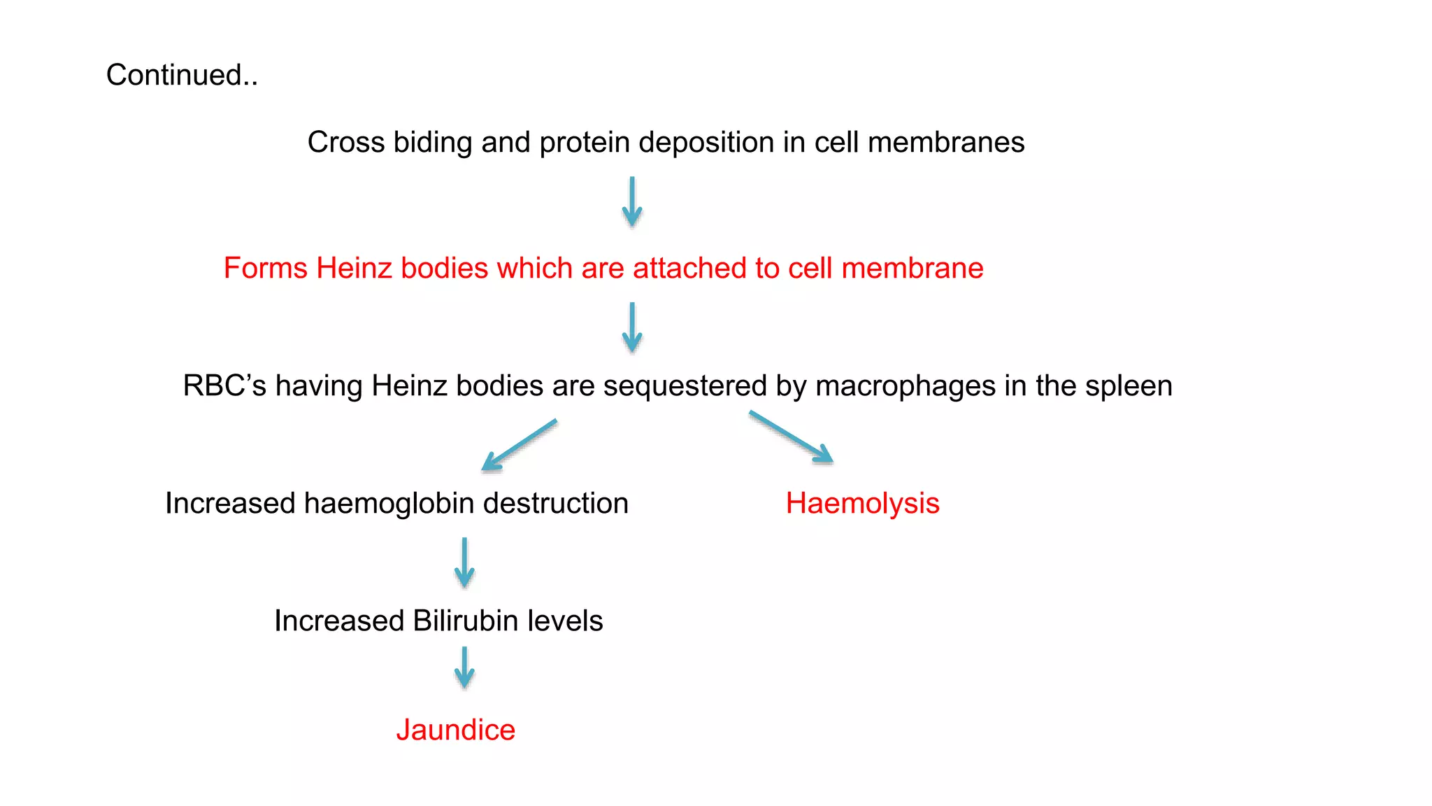 Continued..
Cross biding and protein deposition in cell membranes
Forms Heinz bodies which are attached to cell membrane
RBC’s having Heinz bodies are sequestered by macrophages in the spleen
Increased haemoglobin destruction
Increased Bilirubin levels
Jaundice
Haemolysis
 