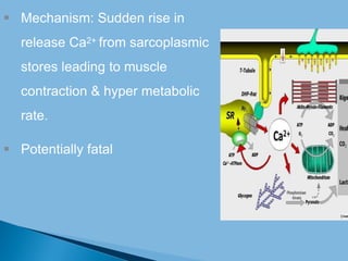  Mechanism: Sudden rise in
release Ca2+ from sarcoplasmic
stores leading to muscle
contraction & hyper metabolic
rate.
 Potentially fatal
 