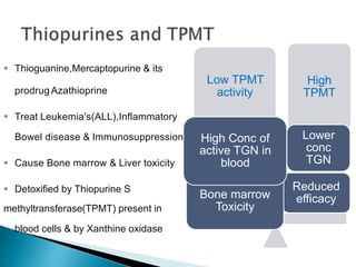 prodrug Azathioprine
 Treat Leukemia's(ALL),Inflammatory
Bowel disease & Immunosuppression
 Cause Bone marrow & Liver toxicity
 Detoxified by Thiopurine S
methyltransferase(TPMT) present in
blood cells & by Xanthine oxidase
 Thioguanine,Mercaptopurine & its
Low TPMT
activity
High
TPMT
Reduced
efficacy
Lower
conc
TGN
Bone marrow
Toxicity
High Conc of
active TGN in
blood
 