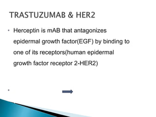 • Herceptin is mAB that antagonizes
epidermal growth factor(EGF) by binding to
one of its receptors(human epidermal
growth factor receptor 2-HER2)
HER2 in tumour
• Somatic mutation
tissue
 