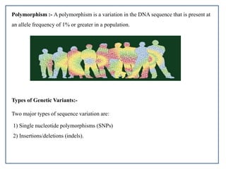 Polymorphism :- A polymorphism is a variation in the DNA sequence that is present at
an allele frequency of 1% or greater in a population.
Types of Genetic Variants:-
Two major types of sequence variation are:
1) Single nucleotide polymorphisms (SNPs)
2) Insertions/deletions (indels).
 