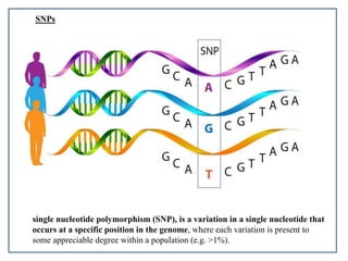 SNPs
single nucleotide polymorphism (SNP), is a variation in a single nucleotide that
occurs at a specific position in the genome, where each variation is present to
some appreciable degree within a population (e.g. >1%).
 