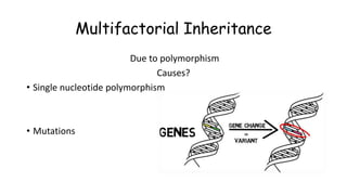 Pharmacogenetics | PPTX