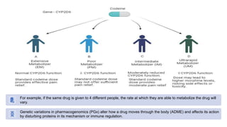 For example, if the same drug is given to 4 different people, the rate at which they are able to metabolize the drug will
vary.
Genetic variations in pharmacogenomics (PGx) alter how a drug moves through the body (ADME) and affects its action
by disturbing proteins in its mechanism or immune regulation.
 