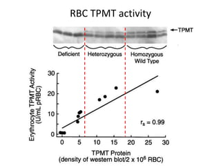 RBC TPMT activity
 