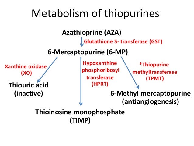 azathioprine to treat colitis