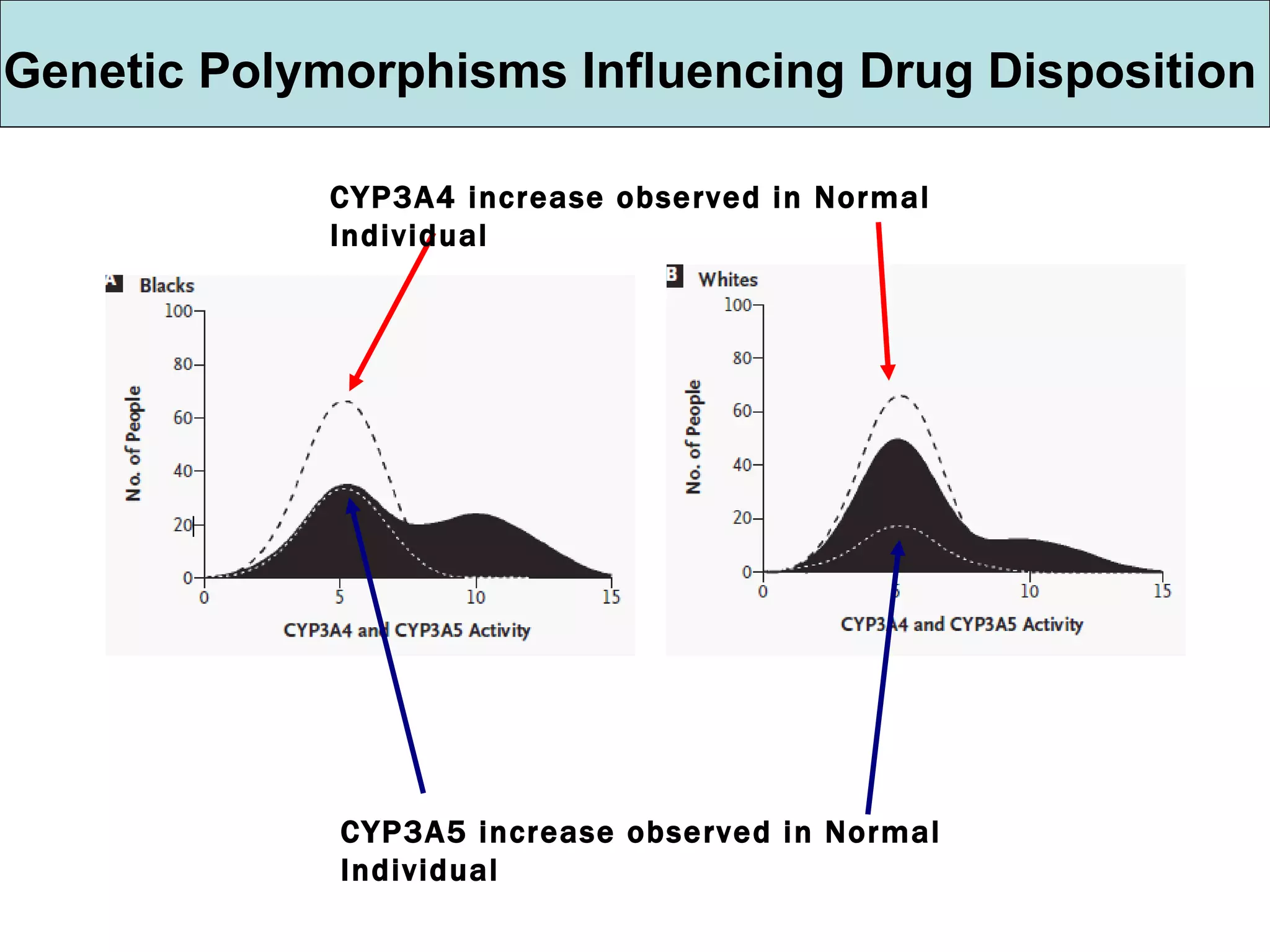 Genetic Polymorphisms Influencing Drug Disposition CYP3A4 increase observed in Normal Individual CYP3A5 increase observed in Normal Individual 