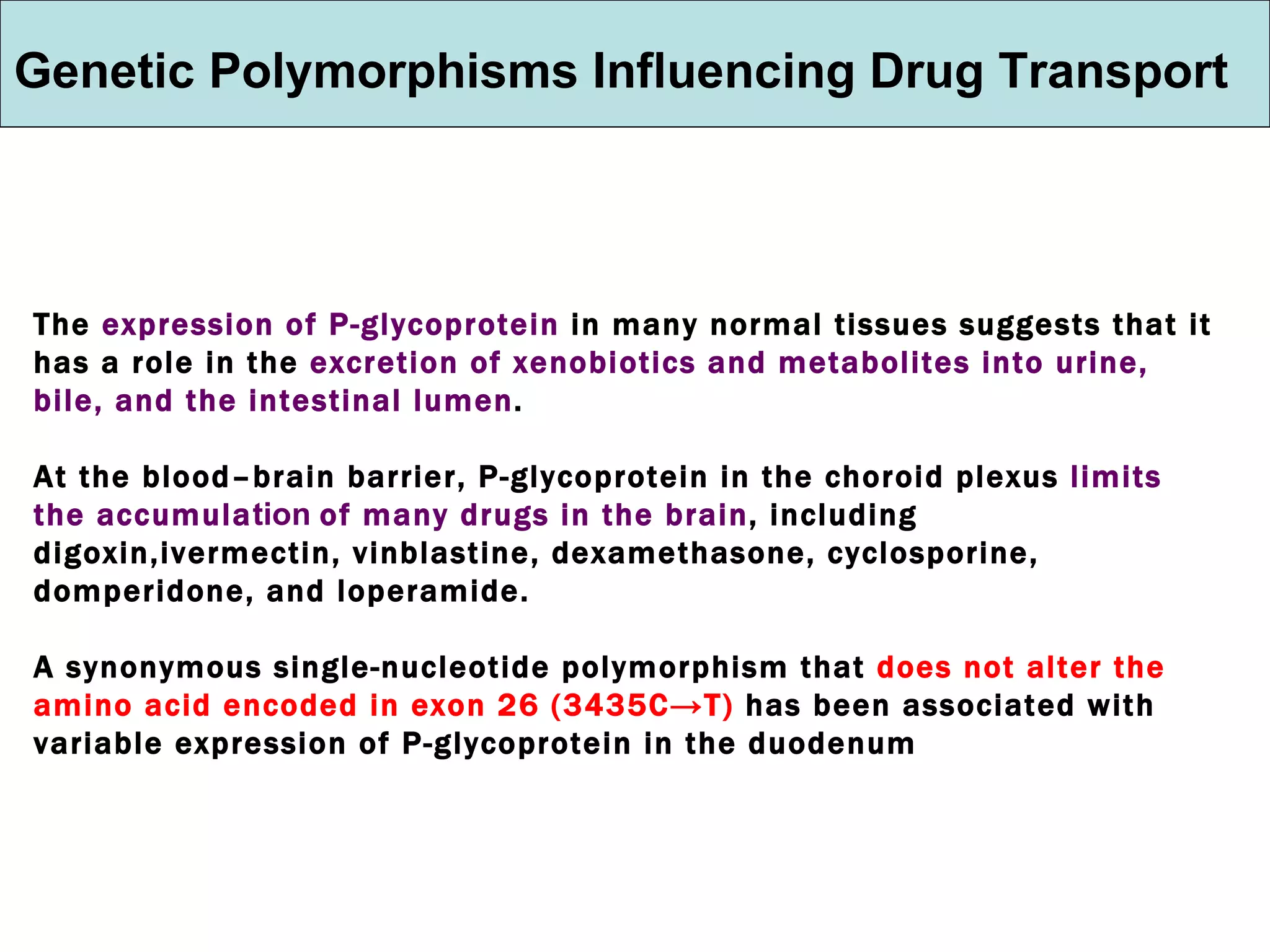 Genetic Polymorphisms Influencing Drug Transport The  expression of P-glycoprotein  in many normal tissues suggests that it has a role in the  excretion of xenobiotics and metabolites into urine, bile, and the intestinal lumen .  At the blood–brain barrier, P-glycoprotein in the choroid plexus  limits the accumula tion  of many drugs in the brain , including digoxin,ivermectin, vinblastine, dexamethasone, cyclosporine, domperidone, and loperamide. A synonymous single-nucleotide polymorphism that  does not alter the amino acid encoded in exon 26   (3435C->T)  has been associated with variable expression of P-glycoprotein in the duodenum 