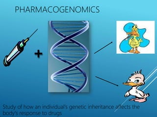 +
PHARMACOGENOMICS
Study of how an individual's genetic inheritance affects the
body's response to drugs
 