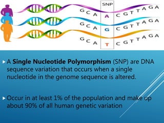 A Single Nucleotide Polymorphism (SNP) are DNA
sequence variation that occurs when a single
nucleotide in the genome sequence is altered.
Occur in at least 1% of the population and make up
about 90% of all human genetic variation
 