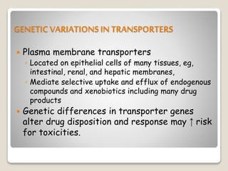 GENETIC VARIATIONSIN TRANSPORTERS
 Plasma membrane transporters
◦ Located on epithelial cells of many tissues, eg,
intestinal, renal, and hepatic membranes,
◦ Mediate selective uptake and efflux of endogenous
compounds and xenobiotics including many drug
products
 Genetic differences in transporter genes
alter drug disposition and response may ↑ risk
for toxicities.
 