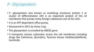 P- Glycoprotein
• P –glycoprotein also known as multidrug resistance protein 1 or
cluster of differentiation 243 is an important protein of the ell
membrane that pumps many foreign substances out of the cells.
• It is an ATP dependent efflux pump.
• Discovered in 1971 by Victor Ling .
• The glycoprotein is encoded by ABCB1 gene.
• It transports various substrates across the cell membrane including
drugs like Colchicine, Quinidine, Tyrosine kinase inhibitors(Gefitinib,
Sunitinib).
 