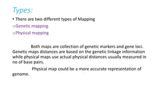 Types:
• There are two different types of Mapping
oGenetic mapping
oPhysical mapping
Both maps are collection of genetic markers and gene loci.
Genetic maps distances are based on the genetic linkage information
while physical maps use actual physical distances usually measured in
no of base pairs.
Physical map could be a more accurate representation of
genome.
 